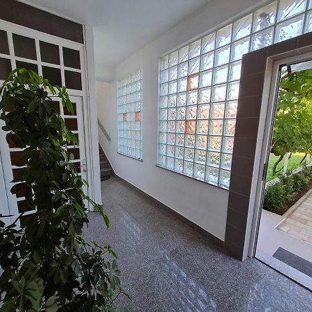 Guest House Barba 비빈제 외부 사진